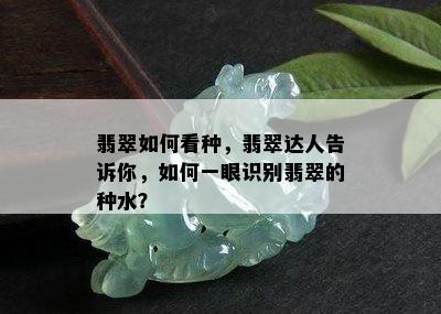 翡翠如何看种，翡翠达人告诉你，如何一眼识别翡翠的种水？