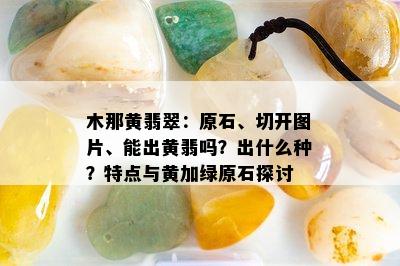 木那黄翡翠：原石、切开图片、能出黄翡吗？出什么种？特点与黄加绿原石探讨