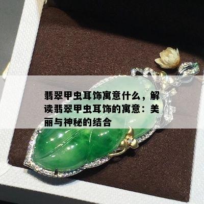 翡翠甲虫耳饰寓意什么，解读翡翠甲虫耳饰的寓意：美丽与神秘的结合