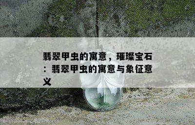 翡翠甲虫的寓意，璀璨宝石：翡翠甲虫的寓意与象征意义