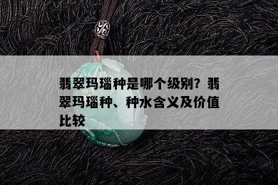 翡翠玛瑙种是哪个级别？翡翠玛瑙种、种水含义及价值比较