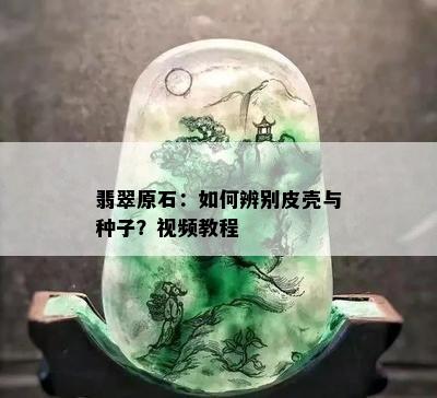 翡翠原石：如何辨别皮壳与种子？视频教程