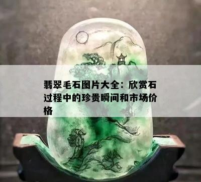 翡翠毛石图片大全：欣赏石过程中的珍贵瞬间和市场价格