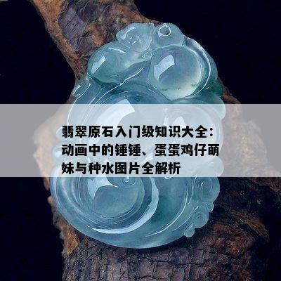 翡翠原石入门级知识大全：动画中的锤锤、蛋蛋鸡仔萌妹与种水图片全解析