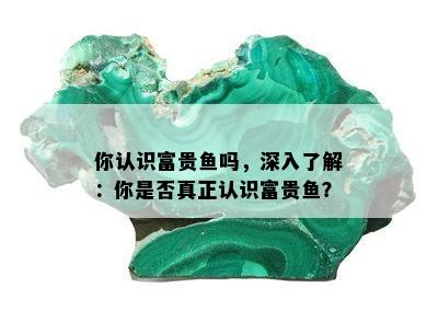 你认识富贵鱼吗，深入了解：你是否真正认识富贵鱼？