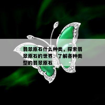 翡翠原石什么种类，探索翡翠原石的世界：了解各种类型的翡翠原石