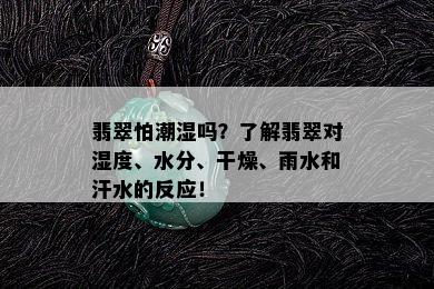 翡翠怕潮湿吗？了解翡翠对湿度、水分、干燥、雨水和汗水的反应！