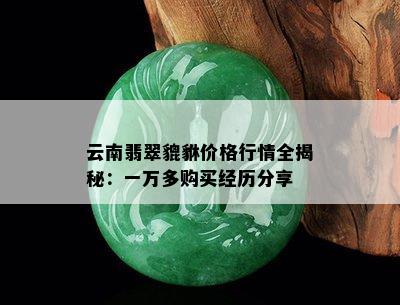 云南翡翠貔貅价格行情全揭秘：一万多购买经历分享