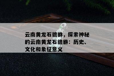 云南黄龙石貔貅，探索神秘的云南黄龙石貔貅：历史、文化和象征意义