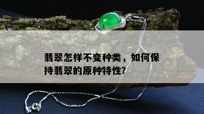 翡翠怎样不变种类，如何保持翡翠的原种特性？