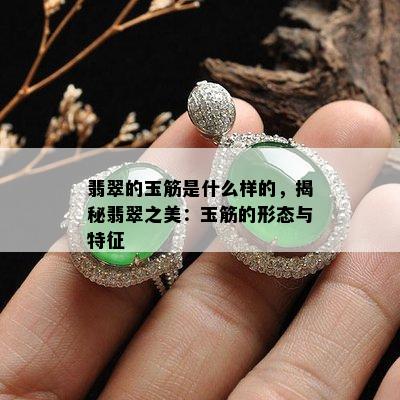 翡翠的玉筋是什么样的，揭秘翡翠之美：玉筋的形态与特征