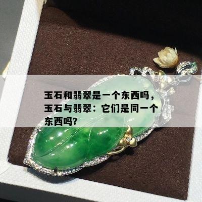 玉石和翡翠是一个东西吗，玉石与翡翠：它们是同一个东西吗？