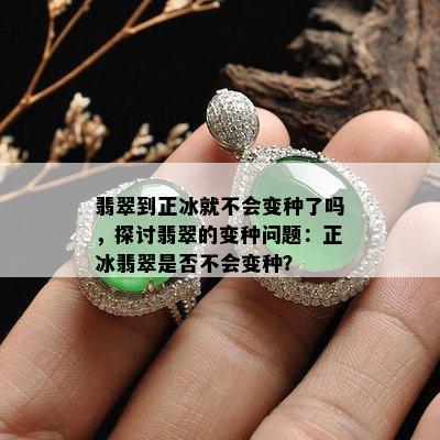 翡翠到正冰就不会变种了吗，探讨翡翠的变种问题：正冰翡翠是否不会变种？