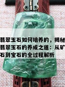 翡翠玉石如何培养的，揭秘翡翠玉石的养成之道：从矿石到宝石的全过程解析