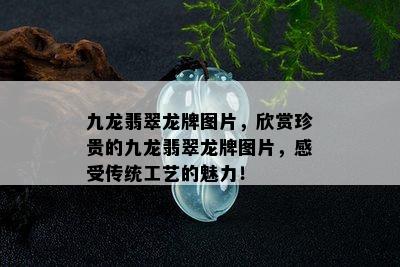 九龙翡翠龙牌图片，欣赏珍贵的九龙翡翠龙牌图片，感受传统工艺的魅力！