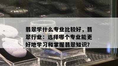 翡翠学什么专业比较好，翡翠行业：选择哪个专业能更好地学习和掌握翡翠知识？