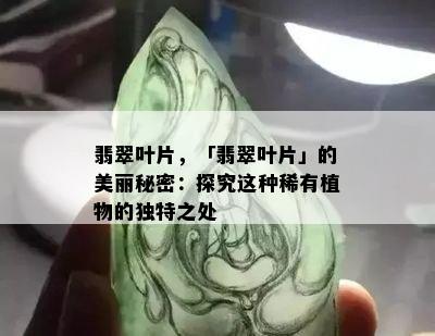 翡翠叶片，「翡翠叶片」的美丽秘密：探究这种稀有植物的独特之处