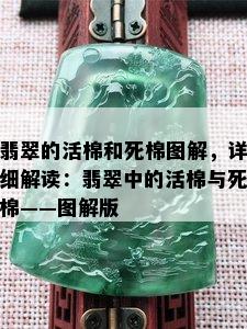 翡翠的活棉和死棉图解，详细解读：翡翠中的活棉与死棉——图解版