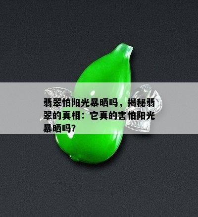 翡翠怕阳光暴晒吗，揭秘翡翠的真相：它真的害怕阳光暴晒吗？