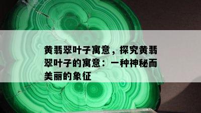 黄翡翠叶子寓意，探究黄翡翠叶子的寓意：一种神秘而美丽的象征