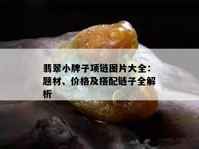 翡翠小牌子项链图片大全：题材、价格及搭配链子全解析