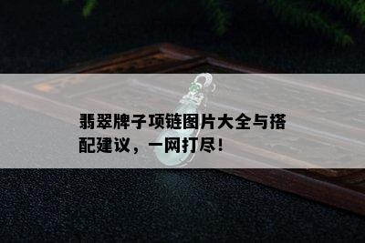 翡翠牌子项链图片大全与搭配建议，一网打尽！