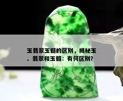 玉翡翠玉髓的区别，揭秘玉、翡翠和玉髓：有何区别？