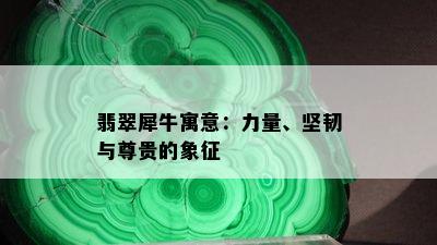 翡翠犀牛寓意：力量、坚韧与尊贵的象征