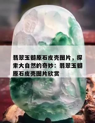 翡翠玉髓原石皮壳图片，探索大自然的奇妙：翡翠玉髓原石皮壳图片欣赏