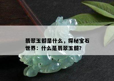 翡翠玉髓是什么，探秘宝石世界：什么是翡翠玉髓？