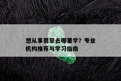 想从事翡翠去哪里学？专业机构推荐与学习指南