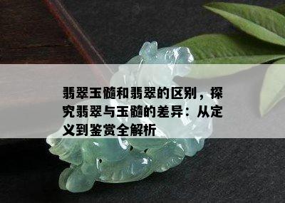 翡翠玉髓和翡翠的区别，探究翡翠与玉髓的差异：从定义到鉴赏全解析