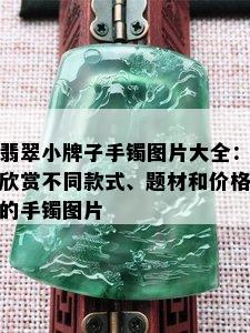 翡翠小牌子手镯图片大全：欣赏不同款式、题材和价格的手镯图片