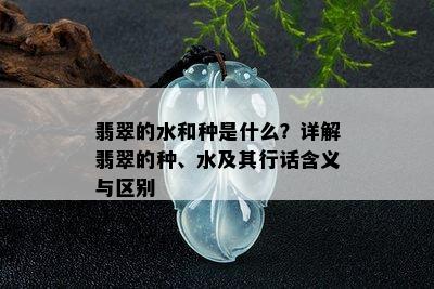 翡翠的水和种是什么？详解翡翠的种、水及其行话含义与区别