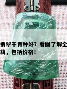 翡翠干青种好？看图了解全貌，包括价格！