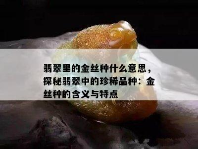 翡翠里的金丝种什么意思，探秘翡翠中的珍稀品种：金丝种的含义与特点