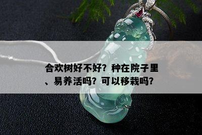 合欢树好不好？种在院子里、易养活吗？可以移栽吗？