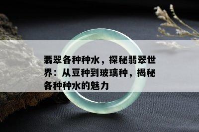 翡翠各种种水，探秘翡翠世界：从豆种到玻璃种，揭秘各种种水的魅力