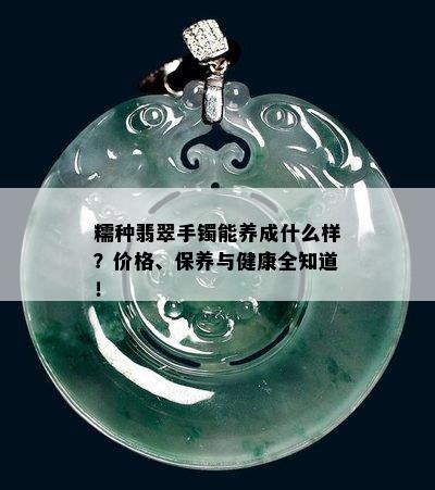 糯种翡翠手镯能养成什么样？价格、保养与健康全知道！