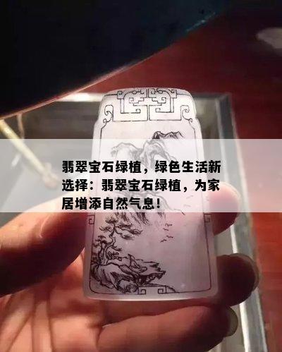 翡翠宝石绿植，绿色生活新选择：翡翠宝石绿植，为家居增添自然气息！