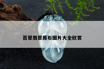 百翠翡翠原石图片大全欣赏