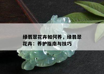 绿翡翠花卉如何养，绿翡翠花卉：养护指南与技巧