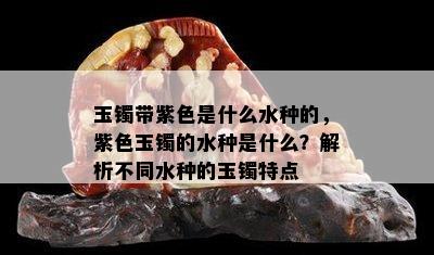 玉镯带紫色是什么水种的，紫色玉镯的水种是什么？解析不同水种的玉镯特点