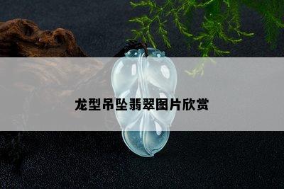 龙型吊坠翡翠图片欣赏