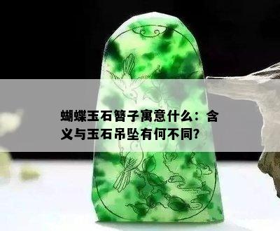 蝴蝶玉石簪子寓意什么：含义与玉石吊坠有何不同？