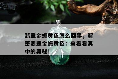 翡翠金蟾黄色怎么回事，解密翡翠金蟾黄色：来看看其中的奥秘！