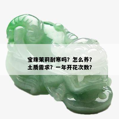 宝珠茉莉耐寒吗？怎么养？土质需求？一年开花次数？