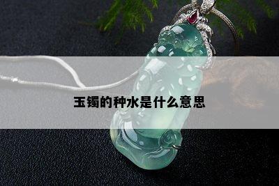 玉镯的种水是什么意思