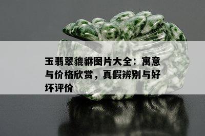 玉翡翠貔貅图片大全：寓意与价格欣赏，真假辨别与好坏评价