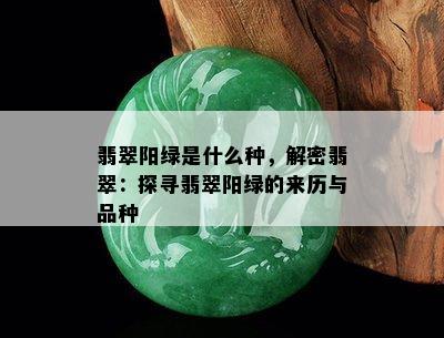 翡翠阳绿是什么种，解密翡翠：探寻翡翠阳绿的来历与品种